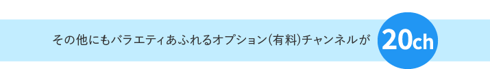 その他にもバラエティあふれるオプション(有料)チャンネルが