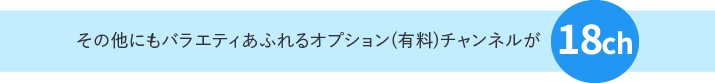 その他にもバラエティあふれるオプション(有料)チャンネルが