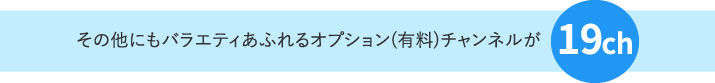 その他にもバラエティあふれるオプション(有料)チャンネルが