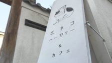豆ネコカフェ