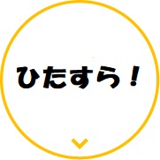 情報番組「ひたすら！」