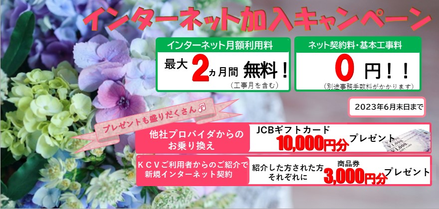 ネットキャンペーン2023年6月末まで