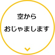 空からおじゃまします